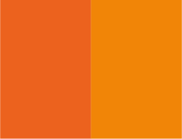Naranja y mandarina
