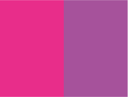 Rosa Fucsia y Magenta