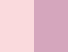 Rosa palo y dusty rose